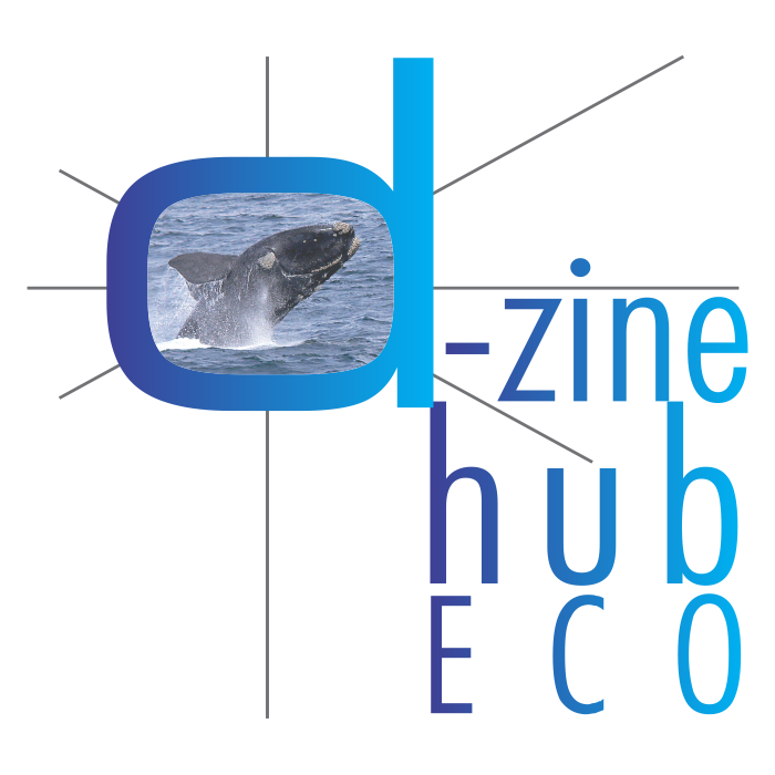 d-zine hub ECO logo